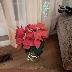 Poinsettas (2) Fake