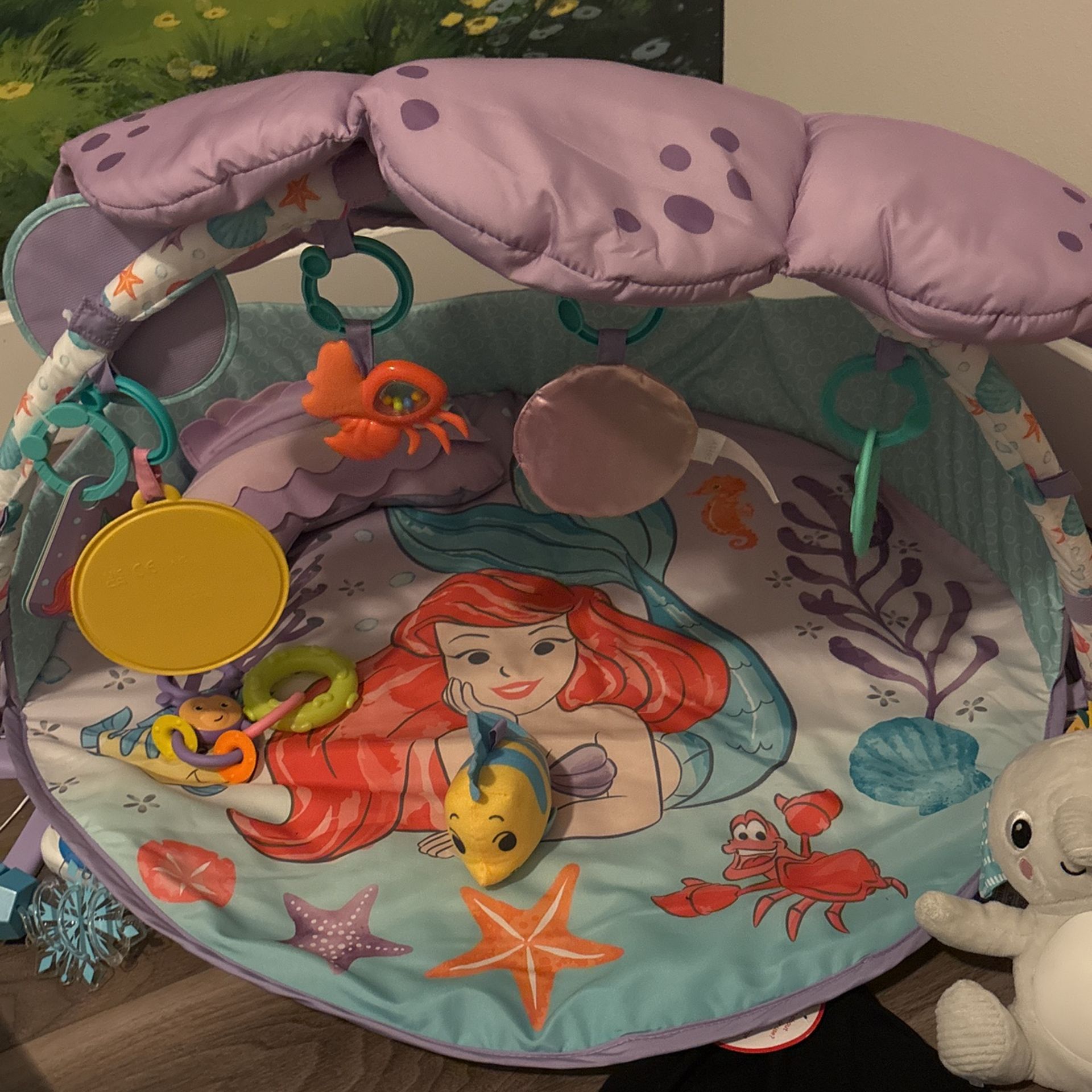 Infant Play Mat