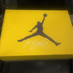 Jordan Lighting 4s (brand new!)