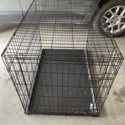 Large 2 Door Dog Crate