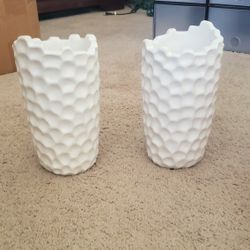 2 Vases For 20.00 