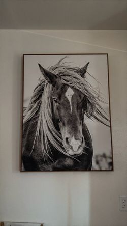 Horse Canvas