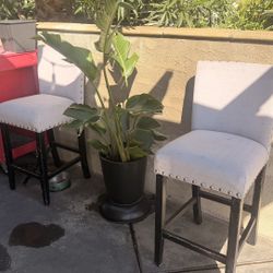 Free 2 Chairs 