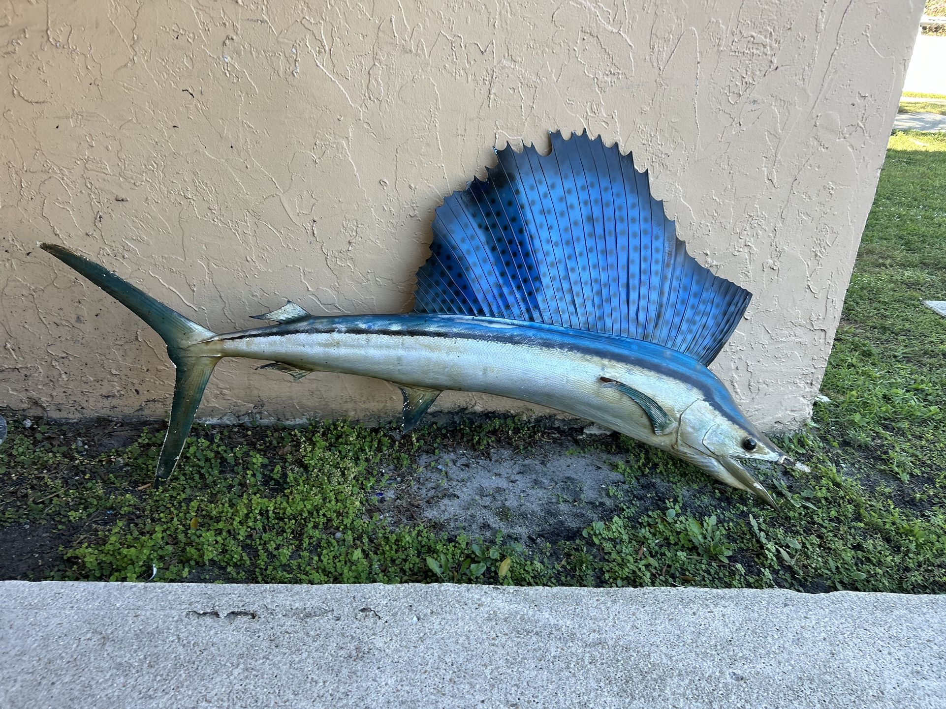 Swordfish