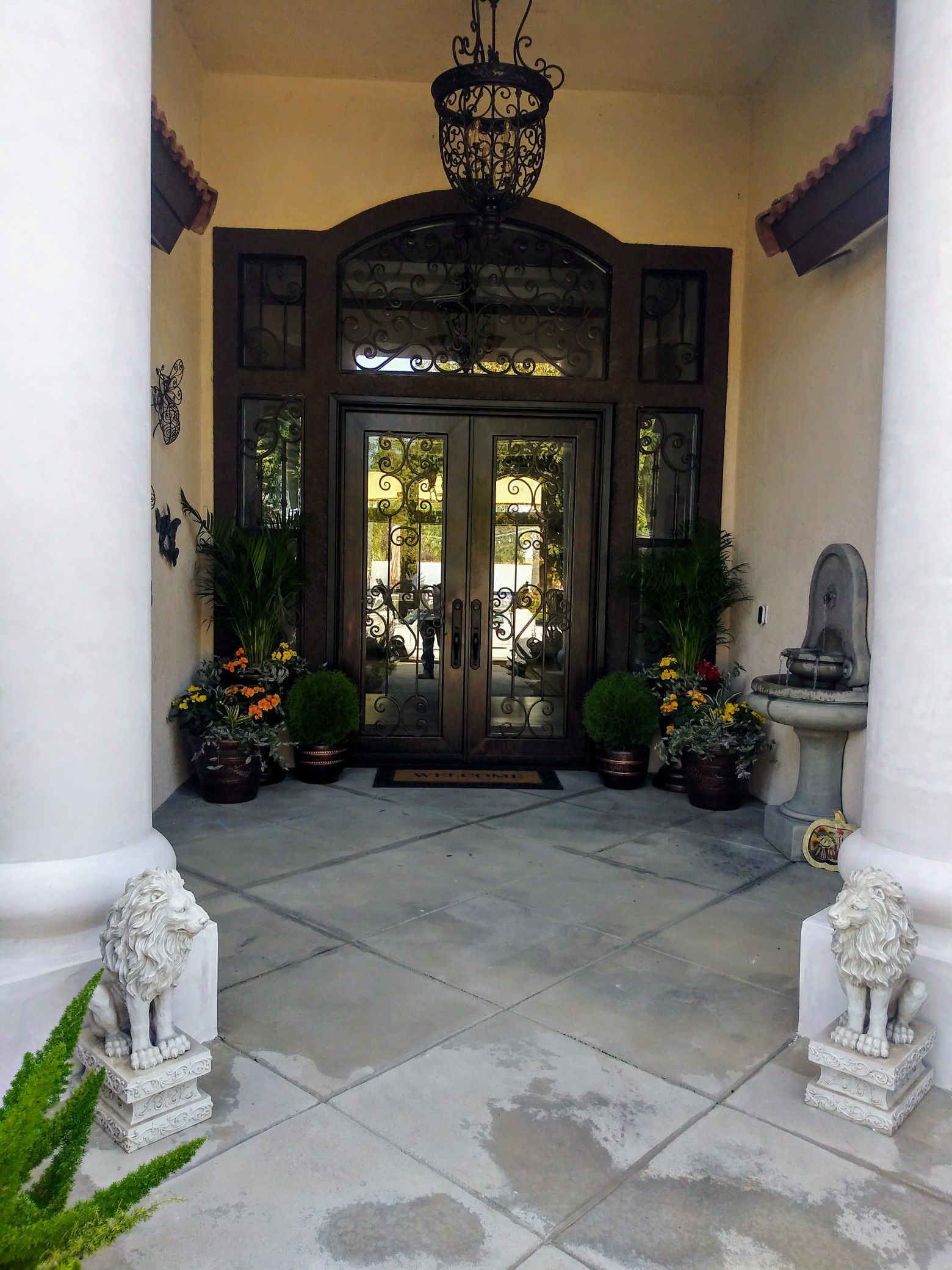 Iron entry doors