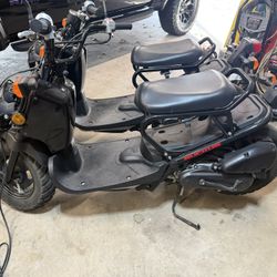 Honda Ruckus