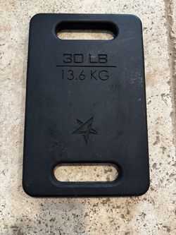 30 lb Cast Iron Ruck Weight Plate (Dual Handles) – Like New