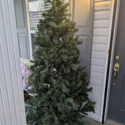 Christmas Tree 