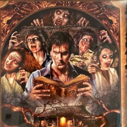 CUSTOM FRAMED EVIL DEAD HORROR PHOTO