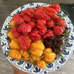 CHili PePPeRS