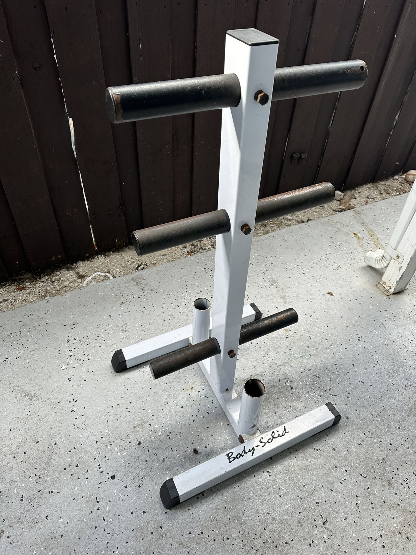 Standard Weight Plates ( Body- Solid )