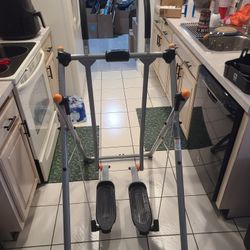 Gazelle Walker And Stair Stepper