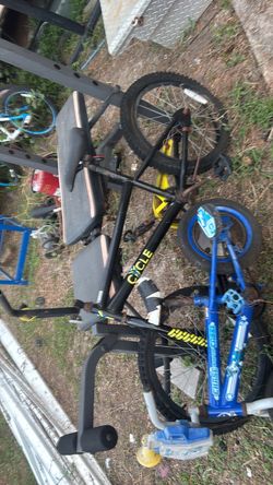 Bikes