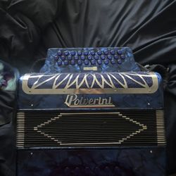 Accordion Polverini 