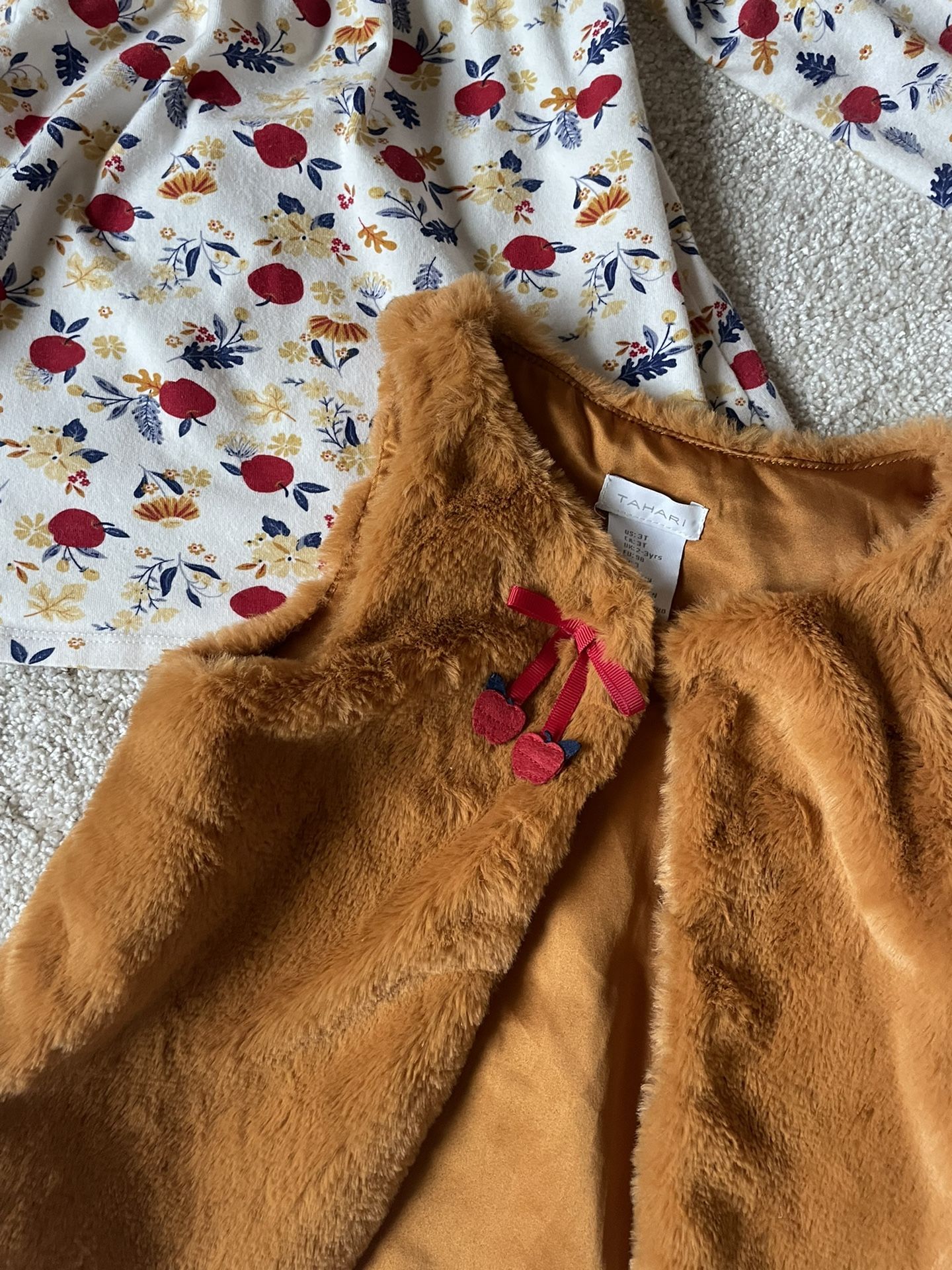 Toddler Girl Clothing Set-3T