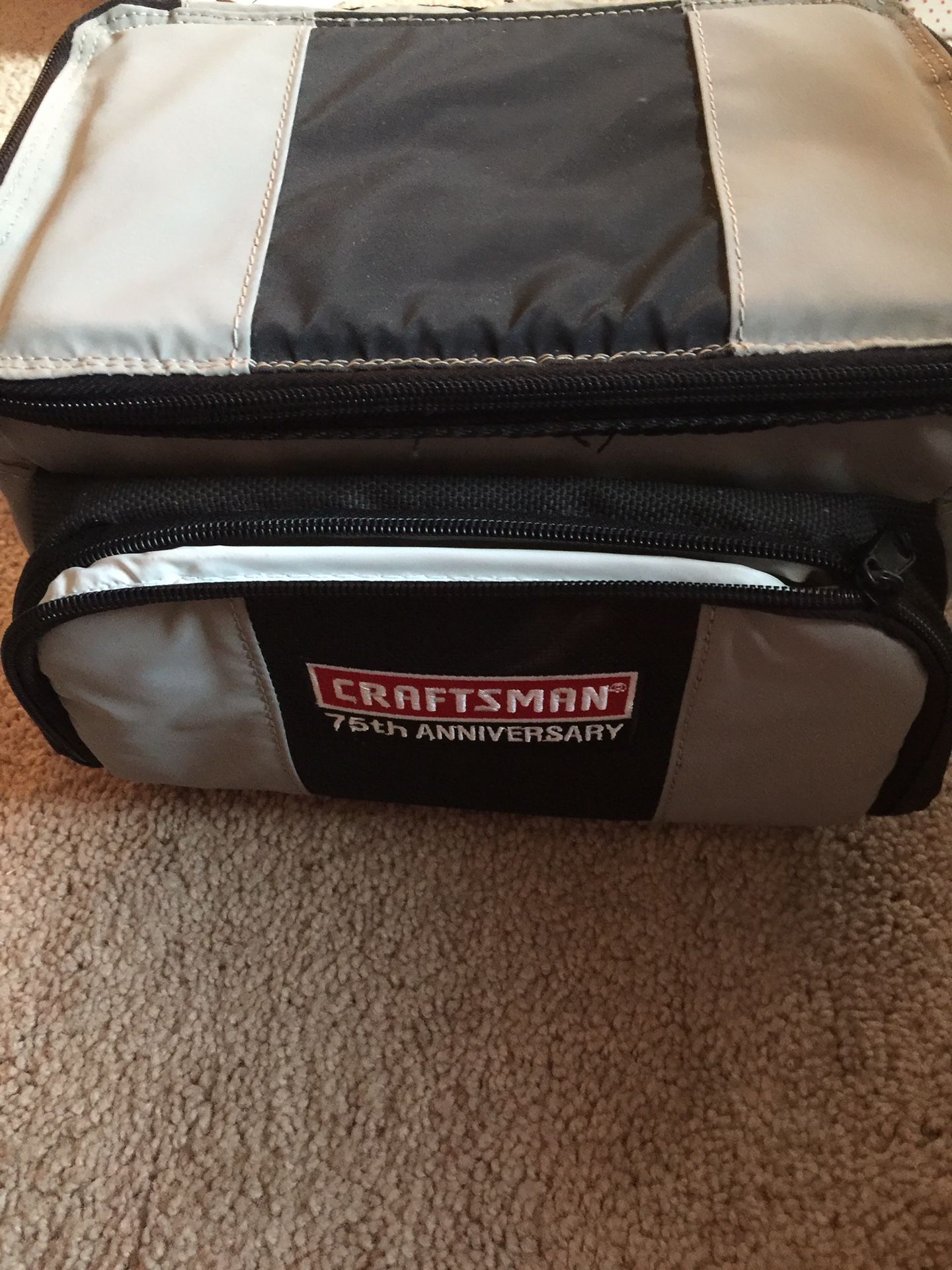 Insulated cooler/lunch box