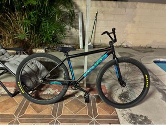 Throne 29er