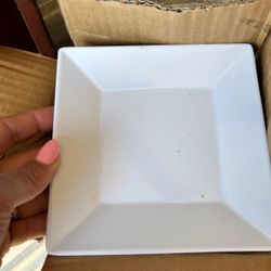 24 Plates New