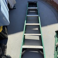 Husky 6 Foot Ladder 225 Pounds Green With Shelf Shelve 