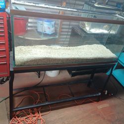55gal Aquarium With Stand