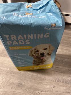 Pads for puppy
