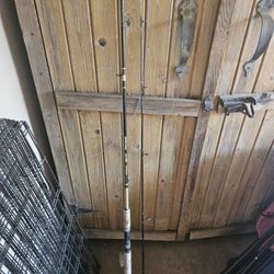8'6 Uglystik 
