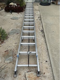 ladder