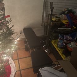 Weight Bench 