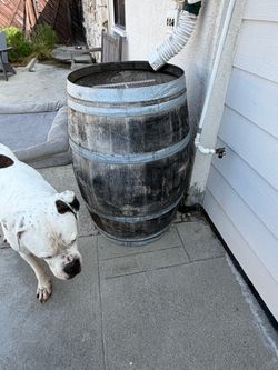Large Wooden Rain Barrel-Wine Barrel with Metal Bands