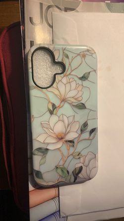 iPhone 17 case
