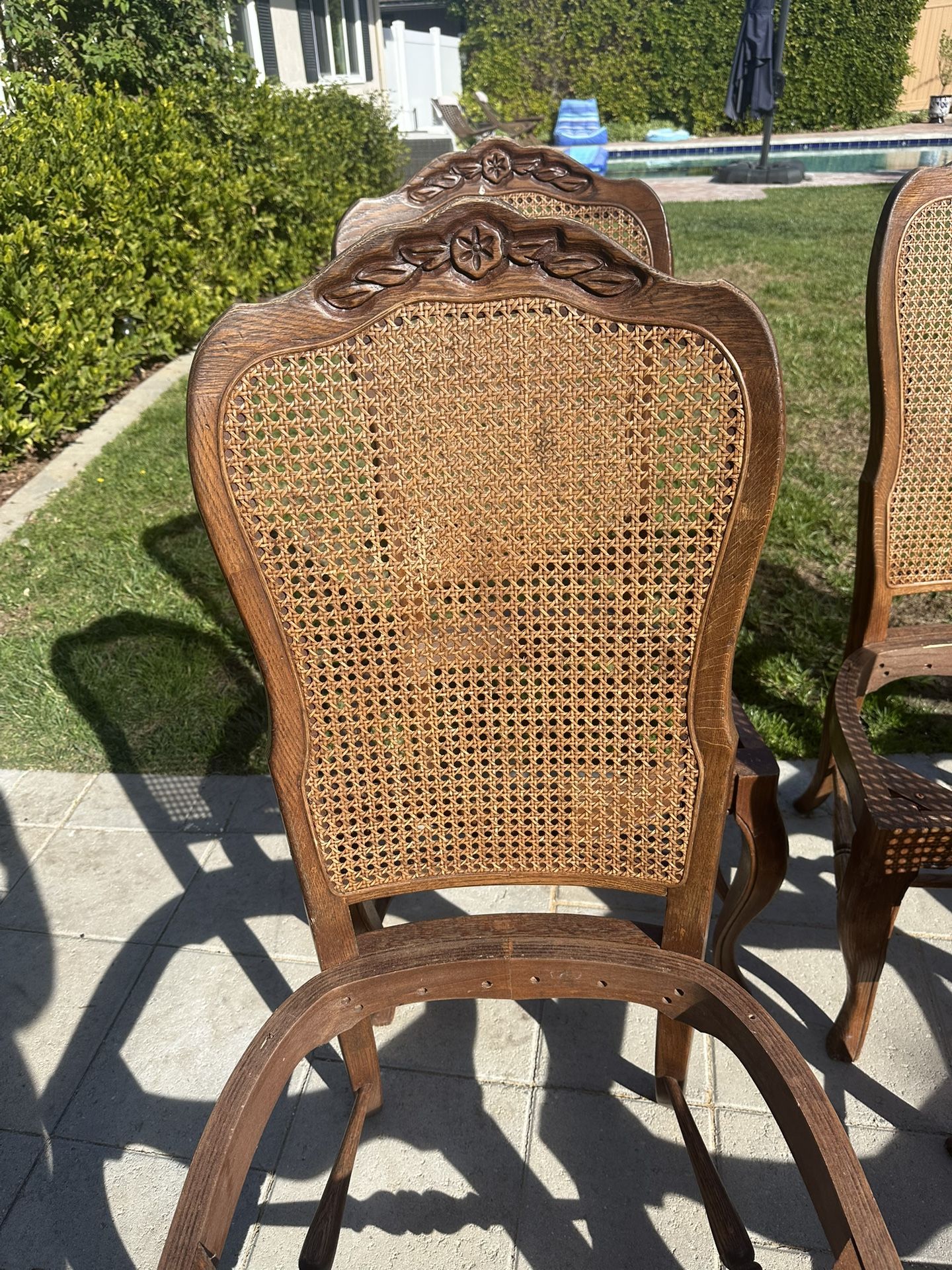 5 Cane back Chairs