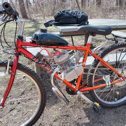 100cc Motor On A Trek Mountain Bike