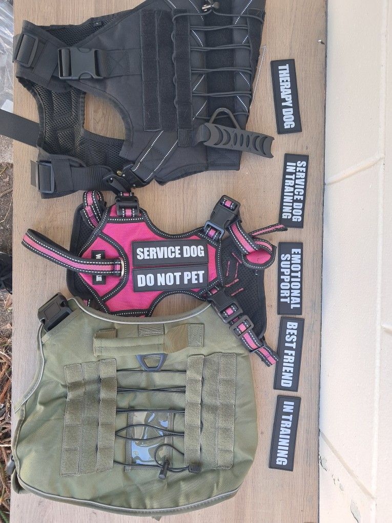 VARIOUS dog Harnesses, Vest, Collars And More! Dog Stairs, Automatic Pet Feeder