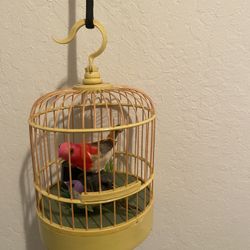 Birds & Cage
