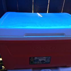 IGLOO Cooler