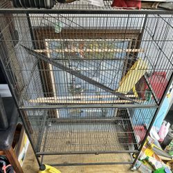 Large Bird Cage
