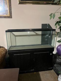 Fish tank