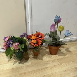 Artificial Plants 
