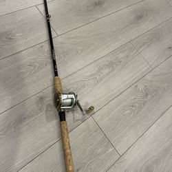 Fishing rod and reel