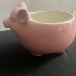 Small Pig Plant Pot 