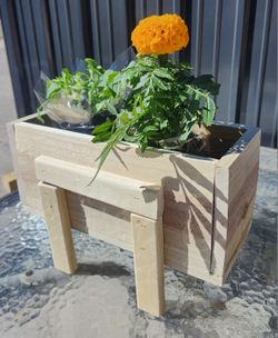 Cedar Planter