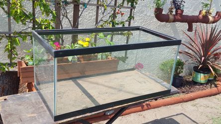 Reptile aquarium or fish