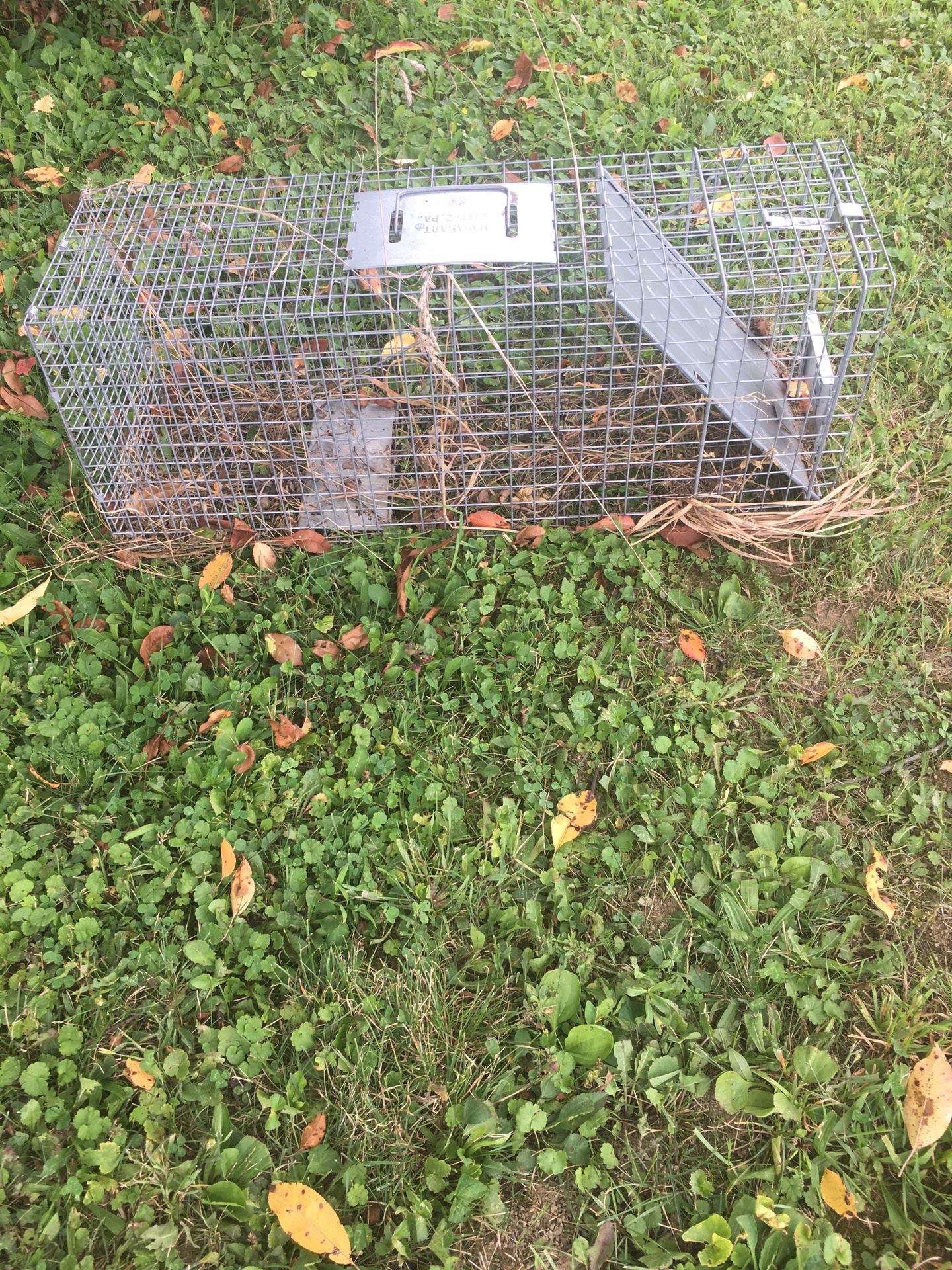Trapping Cage Large
