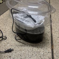 Food Steamer 