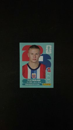 FIFA World Cup panini sticker Erling Haaland