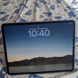 iPad Pro 12.9 5th Gen. 1TB 