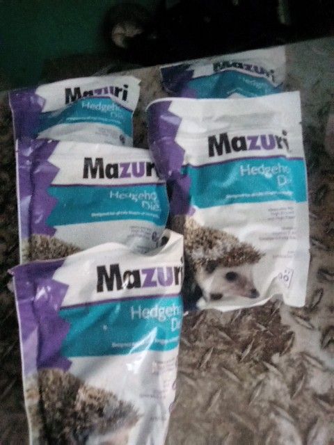 Hedgehog Food