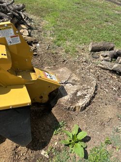 Stump Grinding