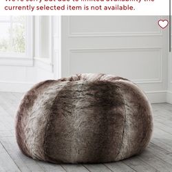 Pottery barn Brand New Bean Bag Insert /cover