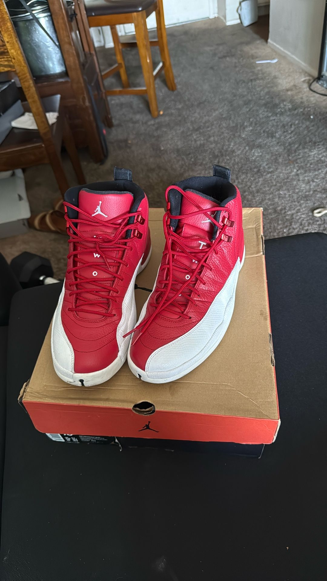 Air Jordan 12